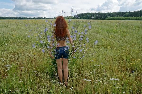 In spring Field