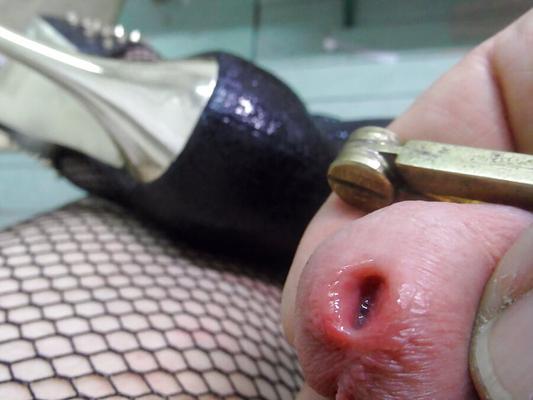 fishnet stockings
