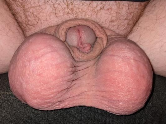Small Dick, Big Balls