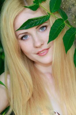Faye