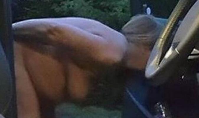 Pig cleaning