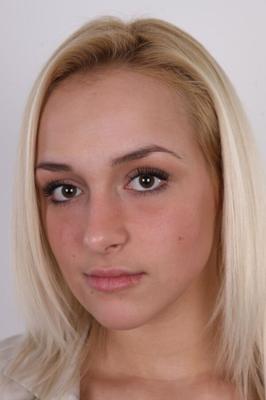 Model