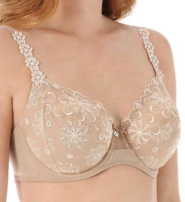 High Definition Bra Pictures