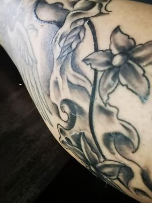 Tatoo