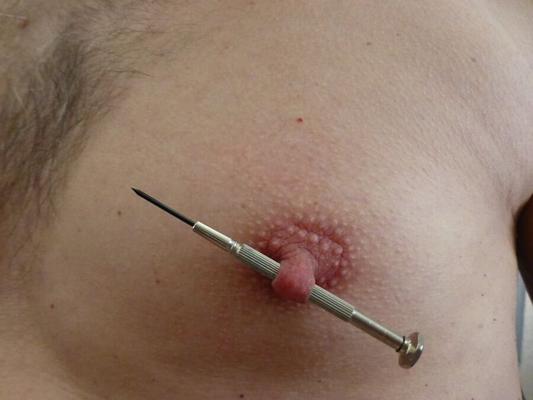 Nipple Inserts