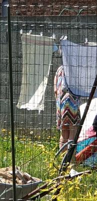 Festival de beaux culs