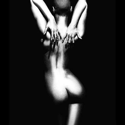 ART XXXIII