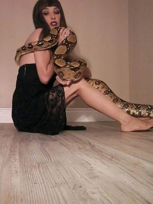 Viollette Free Photos