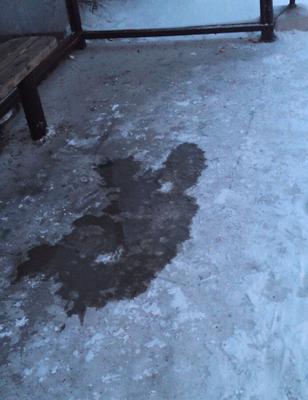Mes flaques de pisse à l'arrêt de bus