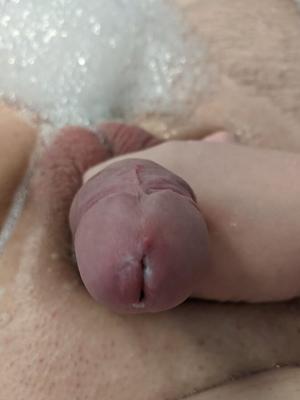 濡れたコックの写真