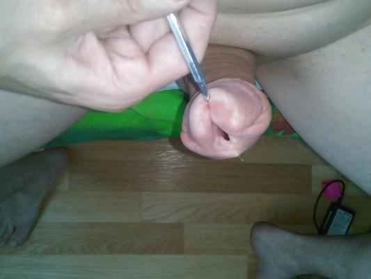torture de chatte