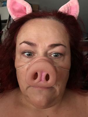 large fat sows to display