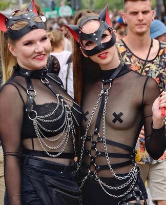 Leashes, collars, chokers, .