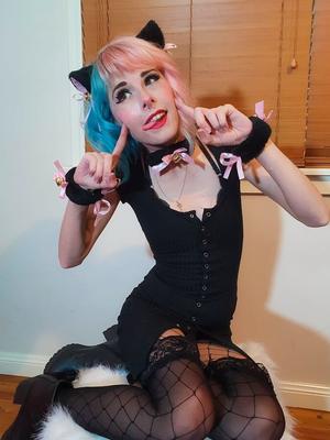 SammySplosion - Você está enlouquecendo, Meowt