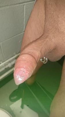 My old cock