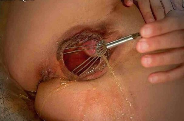 The Toy Box