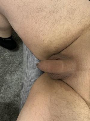 ノイ