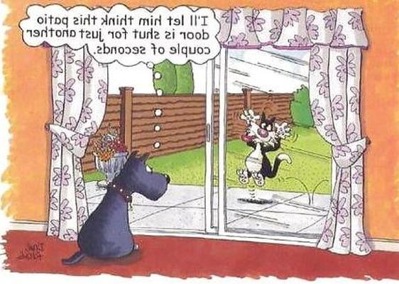 FUCKIN&; FUNNY Enuff For Ya, FUCKNOSE?!