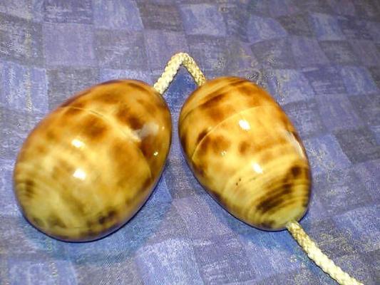 SEX,SEX,SEX