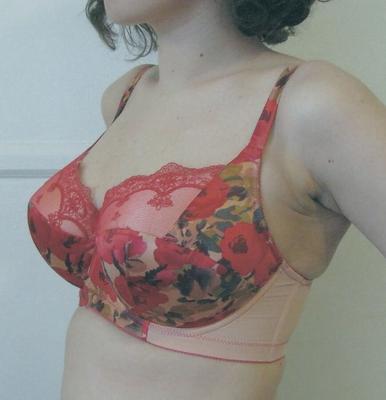 I Schone Frauen in Dessous