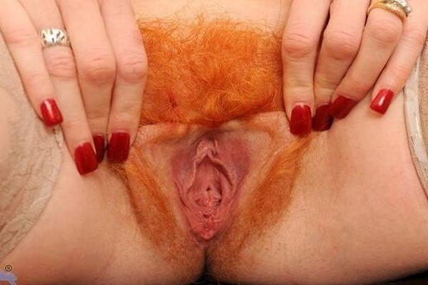 Red bush rides again