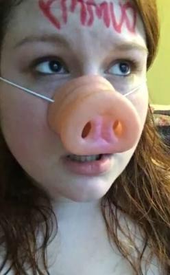 豚