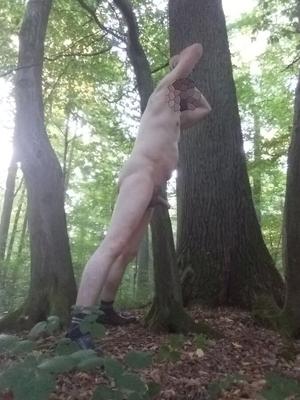 In einem Wald in der Naehe von Bonn