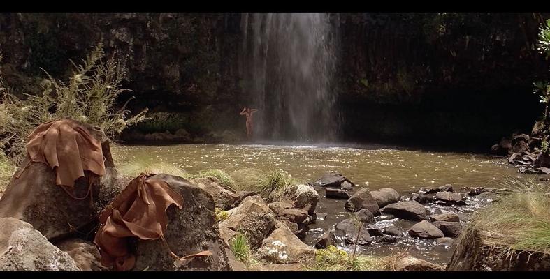Tanya Roberts nude