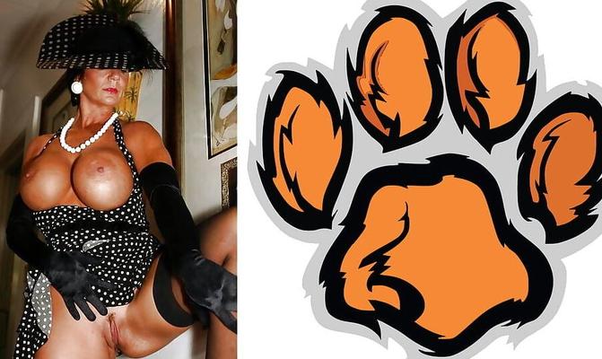Cougar Collage
