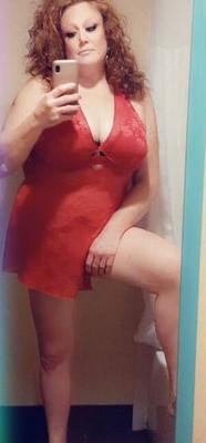 Holiday Bunnies for Hire