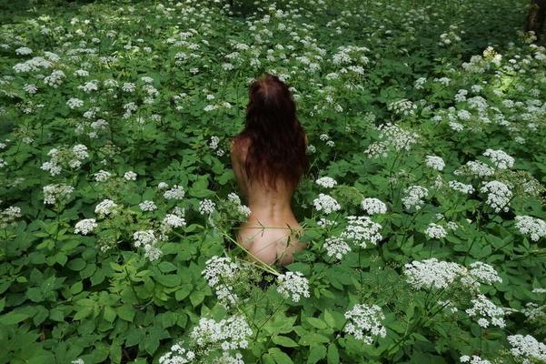 Em flores brancas 1