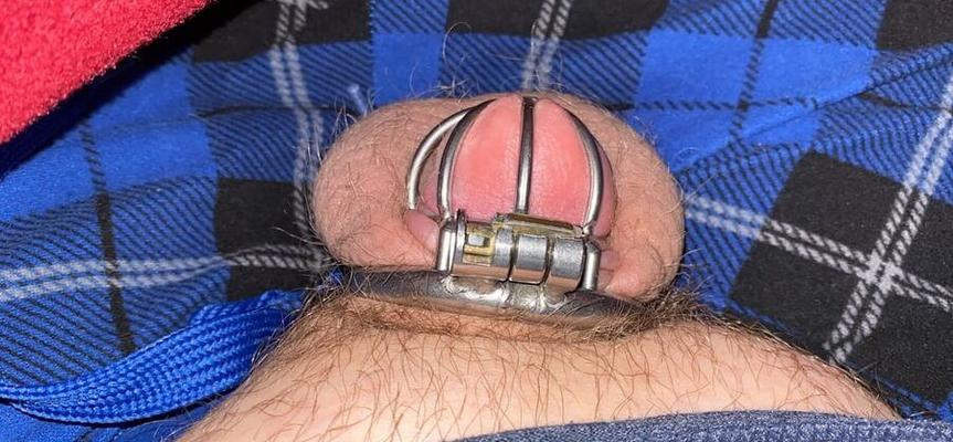 Lil dick in a little cage