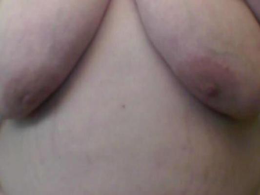 新しい弱虫の写真