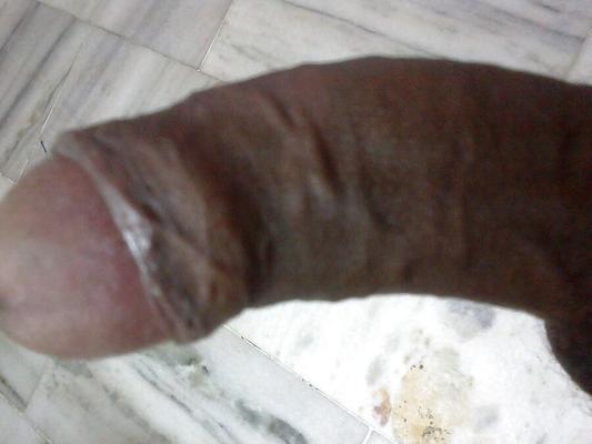escolha o melhor para fazer sexo