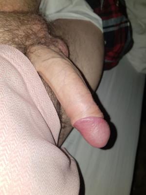 新しいコックの写真