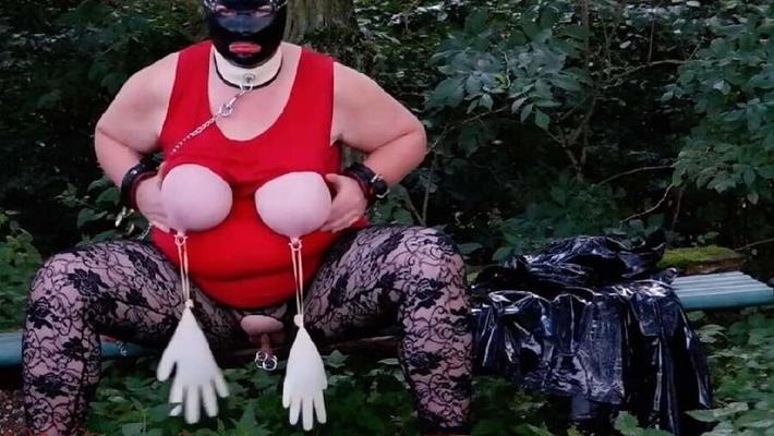 私のウェブサイト上のビデオからの写真