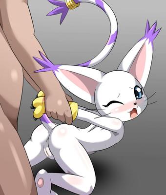 Gatomon, Néfertimon hentai