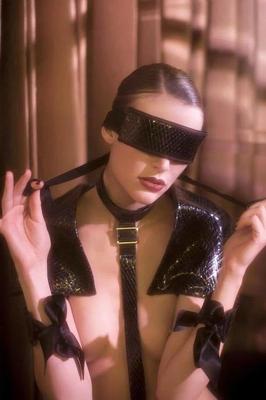 BDSM Collection
