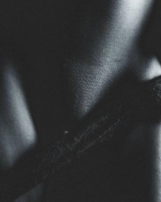 Erotic nudes