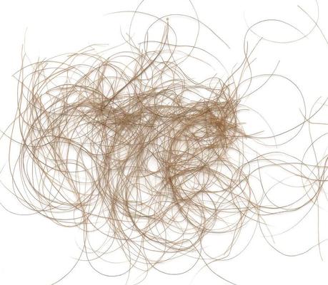 Some of my pubic hair