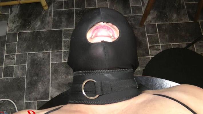 BDSM - しがみつく猫