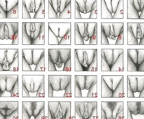 Choose one