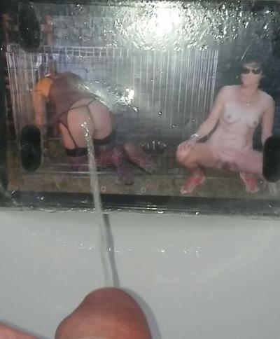18P Fycusdore and Lionx68 Piss Tribute Photos