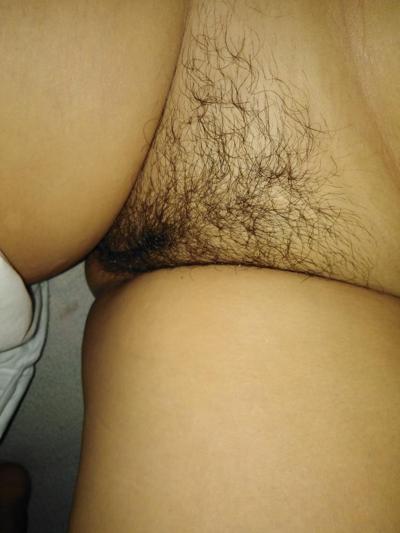 8P Chatte poilue