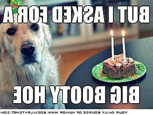 25P толстушка