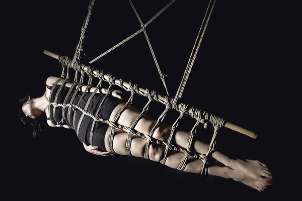 25P Art Shibari 1