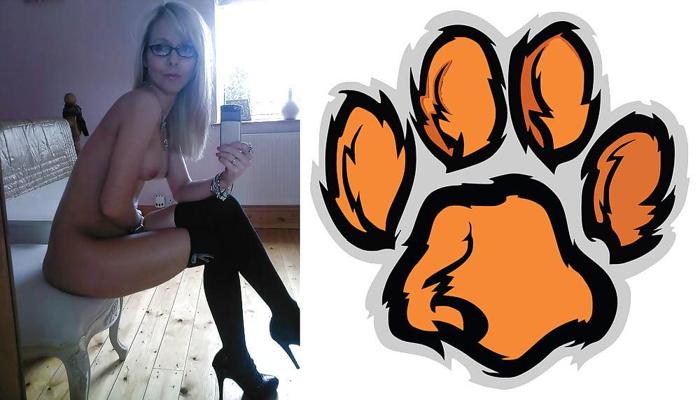 24P Cougar-Collage 01