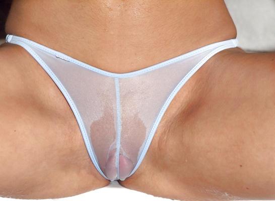 17P Panties 2