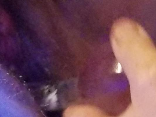 25P CockWhore Slut Wife Gayle 57yr Fuckmeat From Havre  Montana