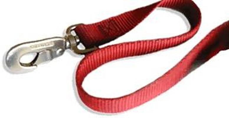 21P Collared 30!